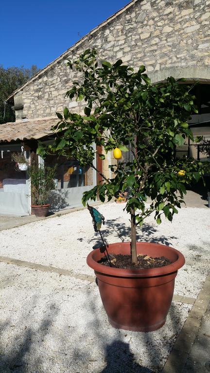 Le Clos Des Aramons Bernis Exterior foto